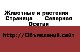  Животные и растения - Страница 37 . Северная Осетия